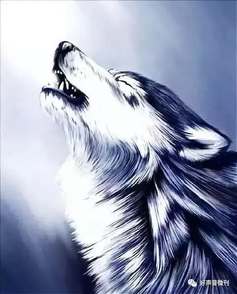 搅拌作者巴图苏和乾坤夜诵读乾坤夜好声音微刊推送