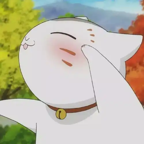 猫咪老师高清头像图片