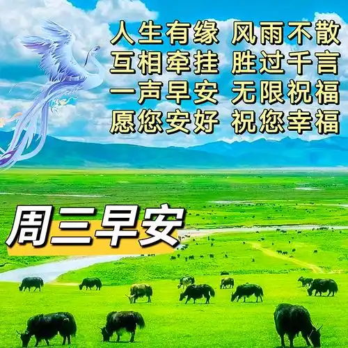 2024年4月24日周三早安暖心祝福图片,温馨的问候祝福大全周三早安愉快周三快乐早上好早安手机网易网