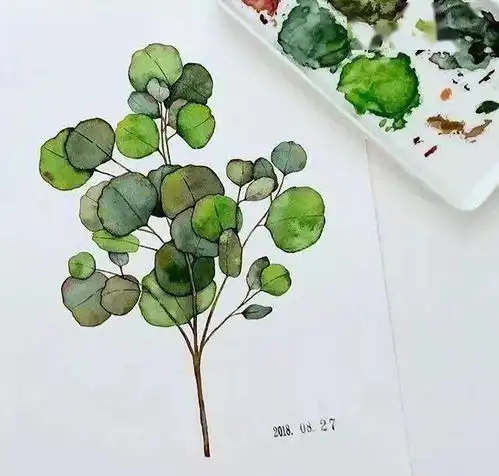 不会画水彩植物临摹这一套小清新水彩作品就够了,适合初学者