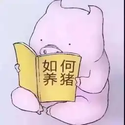 今日猪价11月16日今日最新猪价,今日猪价涨跌如何快看