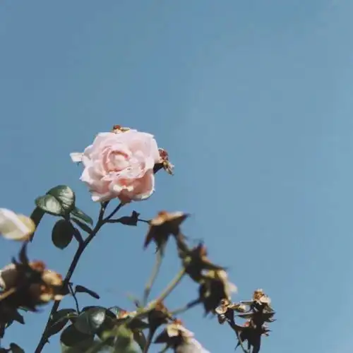 背景图蓝色系背景图超治愈适合发朋友圈的一句话励志心语