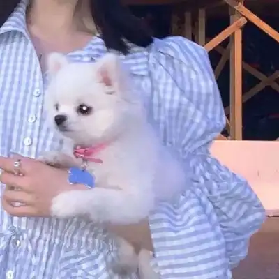 五月的小小心愿希望每天的好心微信头像我要个性网