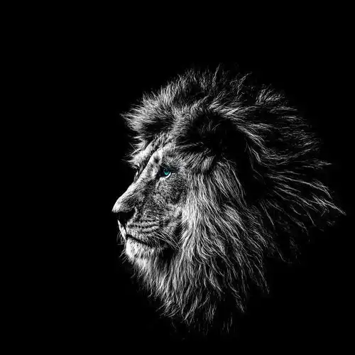 iphone手机壁纸适合男生的高清无水印壁纸