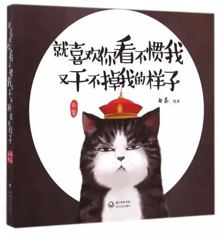 你好,我是白茶