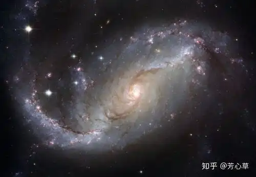 瑰丽星云前厅仿真花柱改造