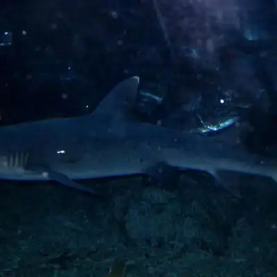 于泽海洋世界蓝色意境唯美背景风景静物头像我要个性网