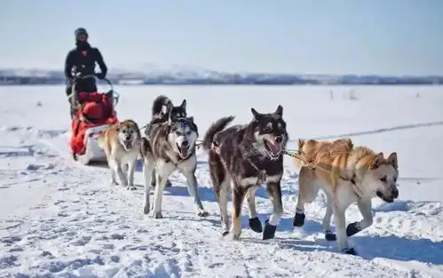100张雪景,有一张心动你都该去旅行了