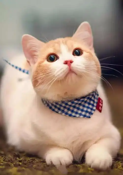 长话短说,我决定学习