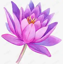 粉色的莲花素材图片免费下载高清png千库网图片编号9068647