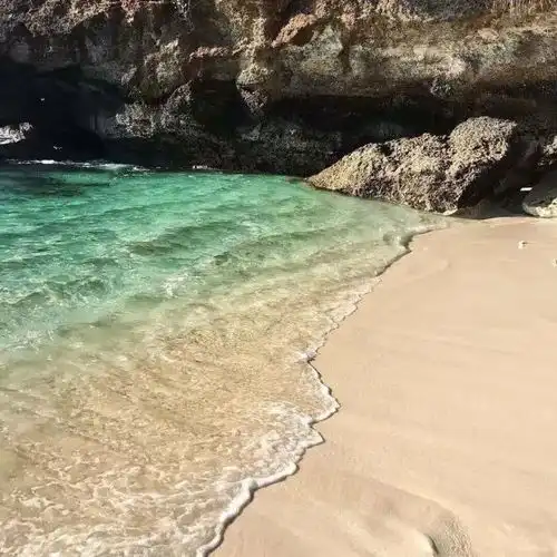 背景图世界太大只想和你天荒地老