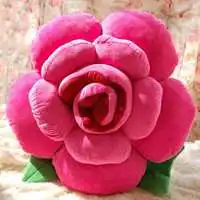 微信头像玫瑰花微信头像图片大全