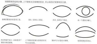 绘画漫画角色基础教学,五官的画法眉毛眼睛篇