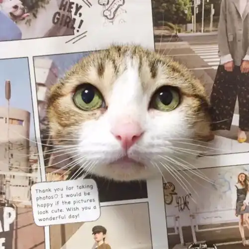 你说,那些甜到骨子里的恋爱,什么时候轮到我啊