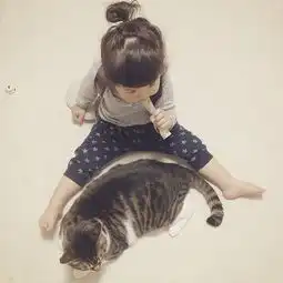 超治愈的家庭日常呆猫与它的超萌小主人