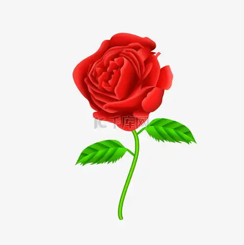 手绘卡通玫瑰花插画素材图片免费下载千库网