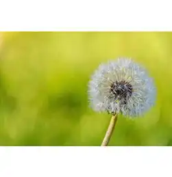 jpg风景屏保jpg格式风景屏保素材图片jpg风景屏保设计模板我图网