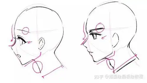 板绘动漫人物男生女生头部画法画不好头部的一定要看