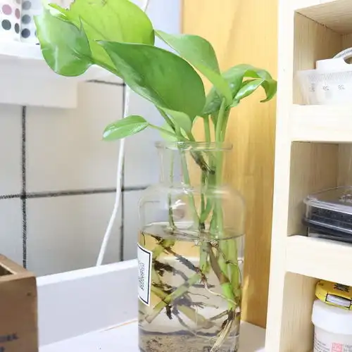 是治愈系的手帐哇