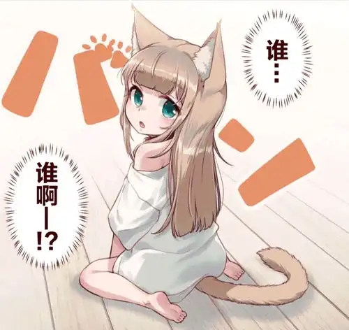我家的猫猫是可爱的女孩子
