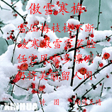 傲雪寒梅,花枝俏,山花烂漫时,她在丛中笑