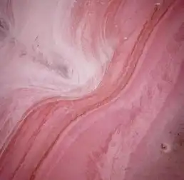 少女心的澳洲粉红湖,已经消失一个了,再不去就晚了