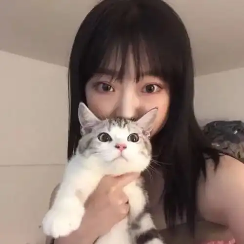 猫系女生头像