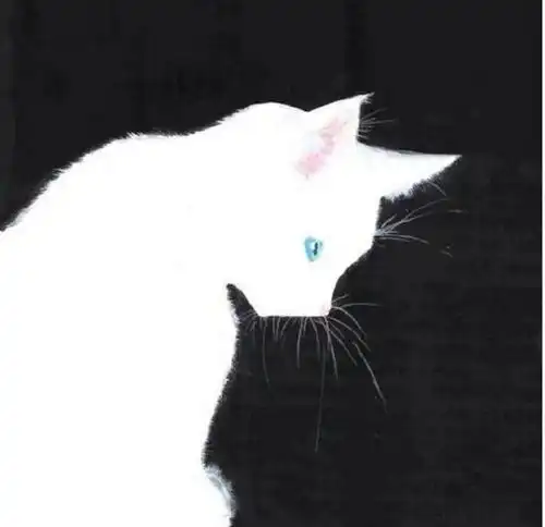 猫系男生动漫可爱头像黑
