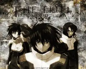 njammercanceller图册