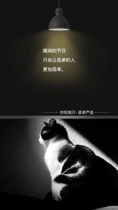 黑白系情绪孤单