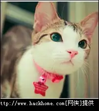 超萌的喵星人小猫qq头像大全