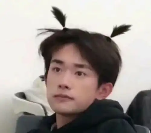 易烊千玺头像千纸鹤们快进来啦