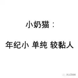 热点继犬系男孩之后,您的猫系女孩已上线...