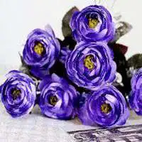好看的紫色玫瑰花微信头像图片微信头像图片大全