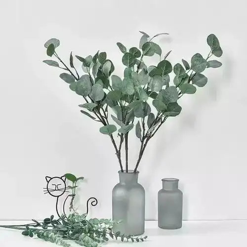 连植物都开始走性冷淡风了,赶紧了解一下