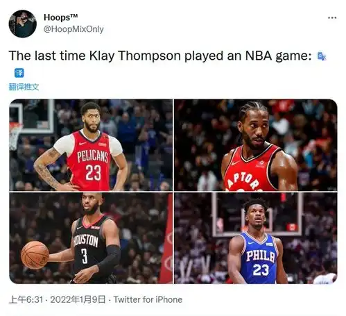 库里头像猴子系列猴子