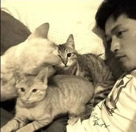 如果可以,下辈子我想当胡歌的那个ta