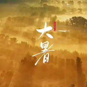 二十四节气七十二候系列高清视频大暑