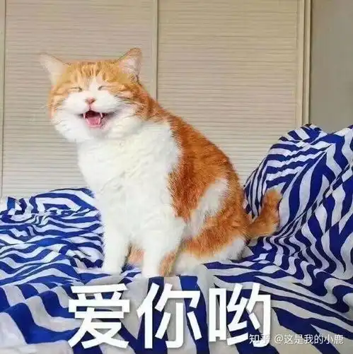 请问真的需要每天都涂防晒霜吗需要用卸妆水吗