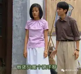 世纪渣男何书桓和圣母绿茶如萍的二三事