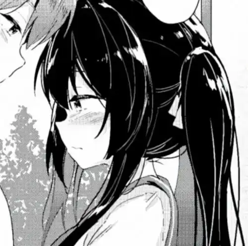 黑白灰情侣动漫头像