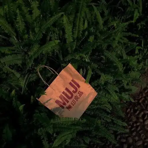 背景图碰过感情吗让你遍体鳞伤的那种