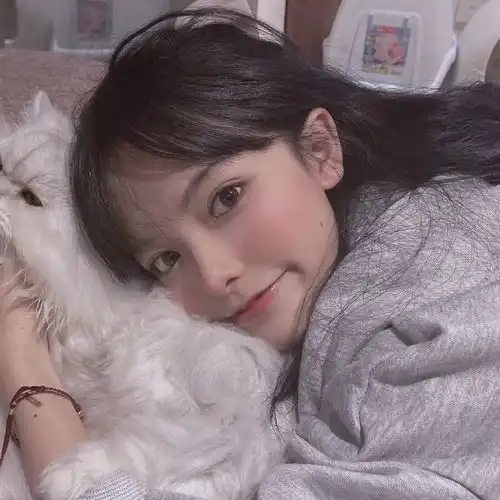 猫系女孩子头像动漫宋祖