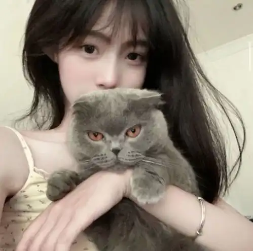 crybear女头为感情伤神的小猫罢了