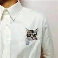 汇总贴你们留言要的壁纸头像在这儿拿