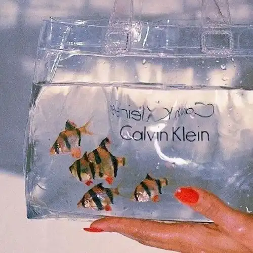 你说,长大真的好吗