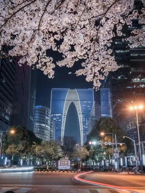 来园区,遇见粉色的梦