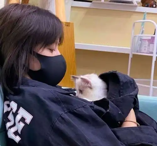 ins甜宠限量版女生头像唯美烟月