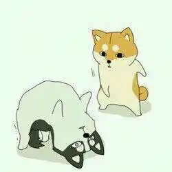 跪求哈士奇和doge的情侣头像