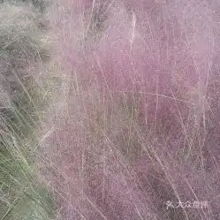 电话,地址,价格,营业时间上海周边游